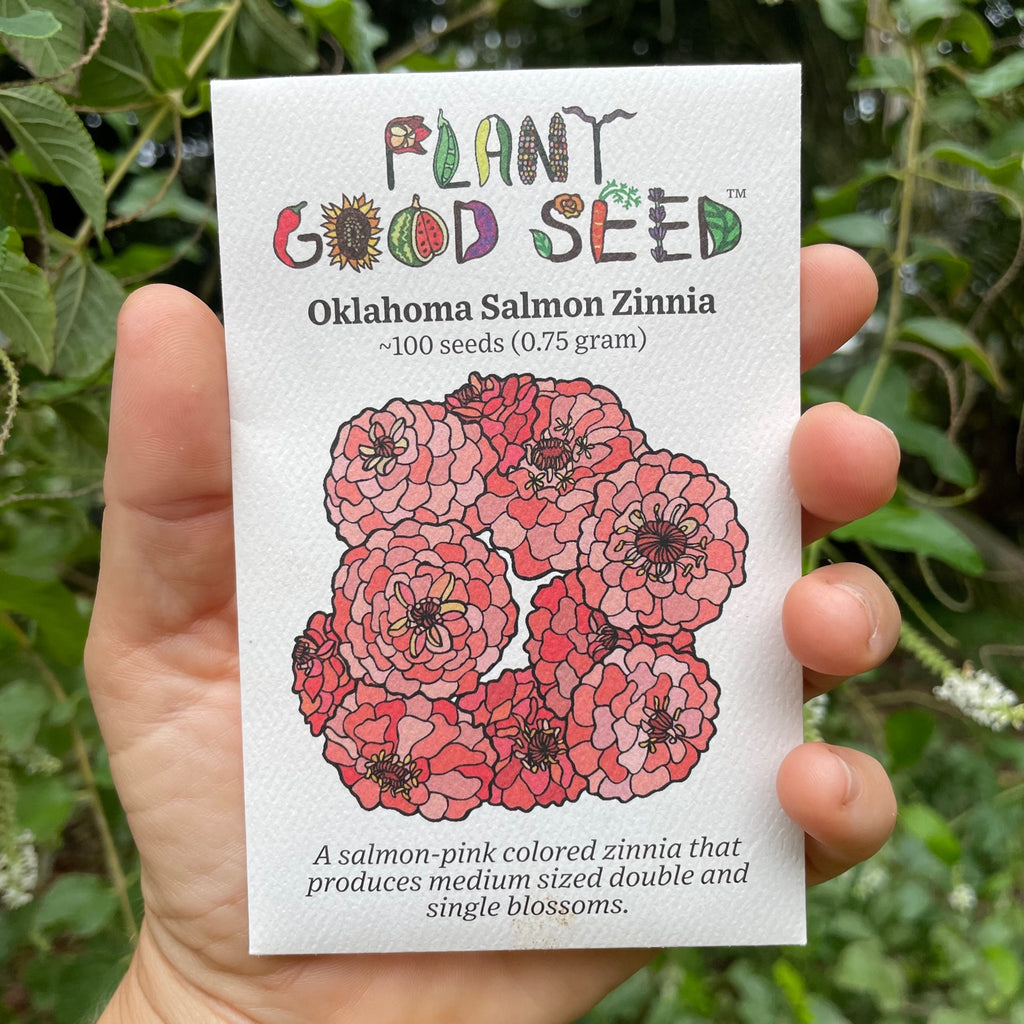 Oklahoma Salmon Zinnia Seed Packet