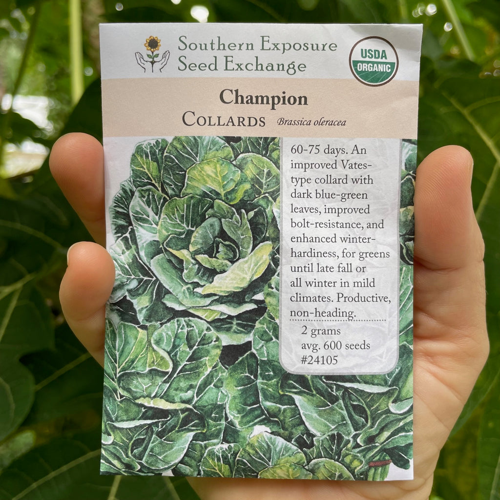 Champion Collard  Seed Packet