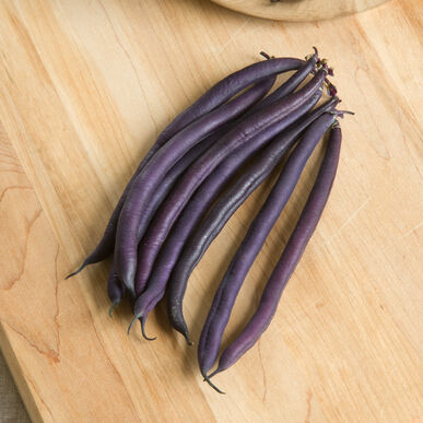 Royalty Purple Bush Bean Seed Packet