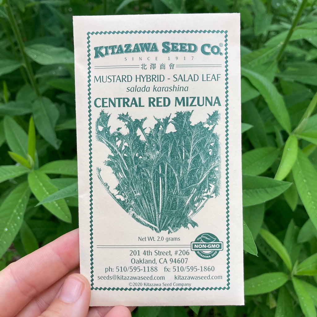 Central Red Mizuna Mustard Seed Packet