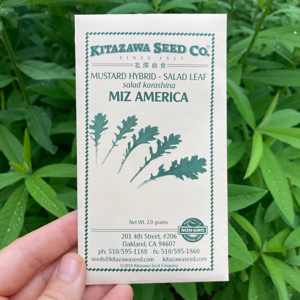 Miz America Purple Mustard Seed Packet
