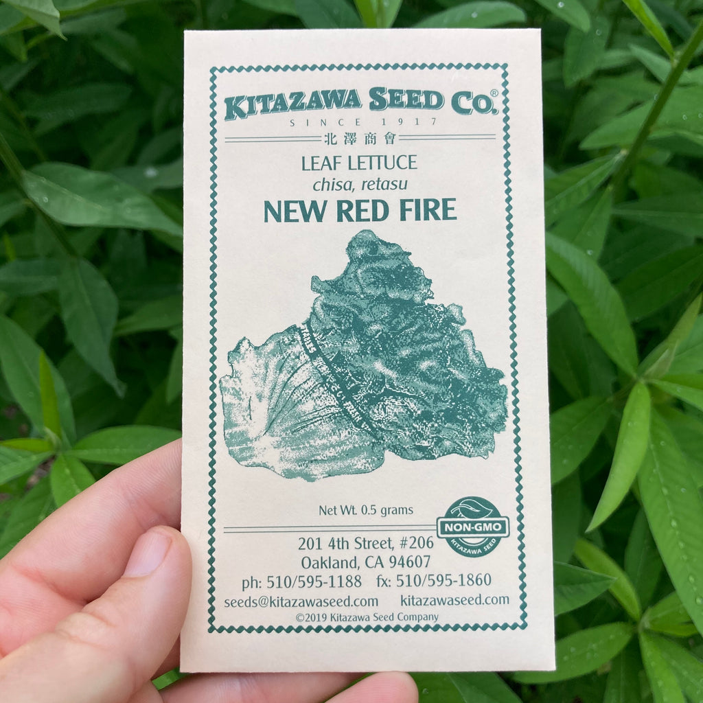 New Red Fire Lettuce Seed Packet