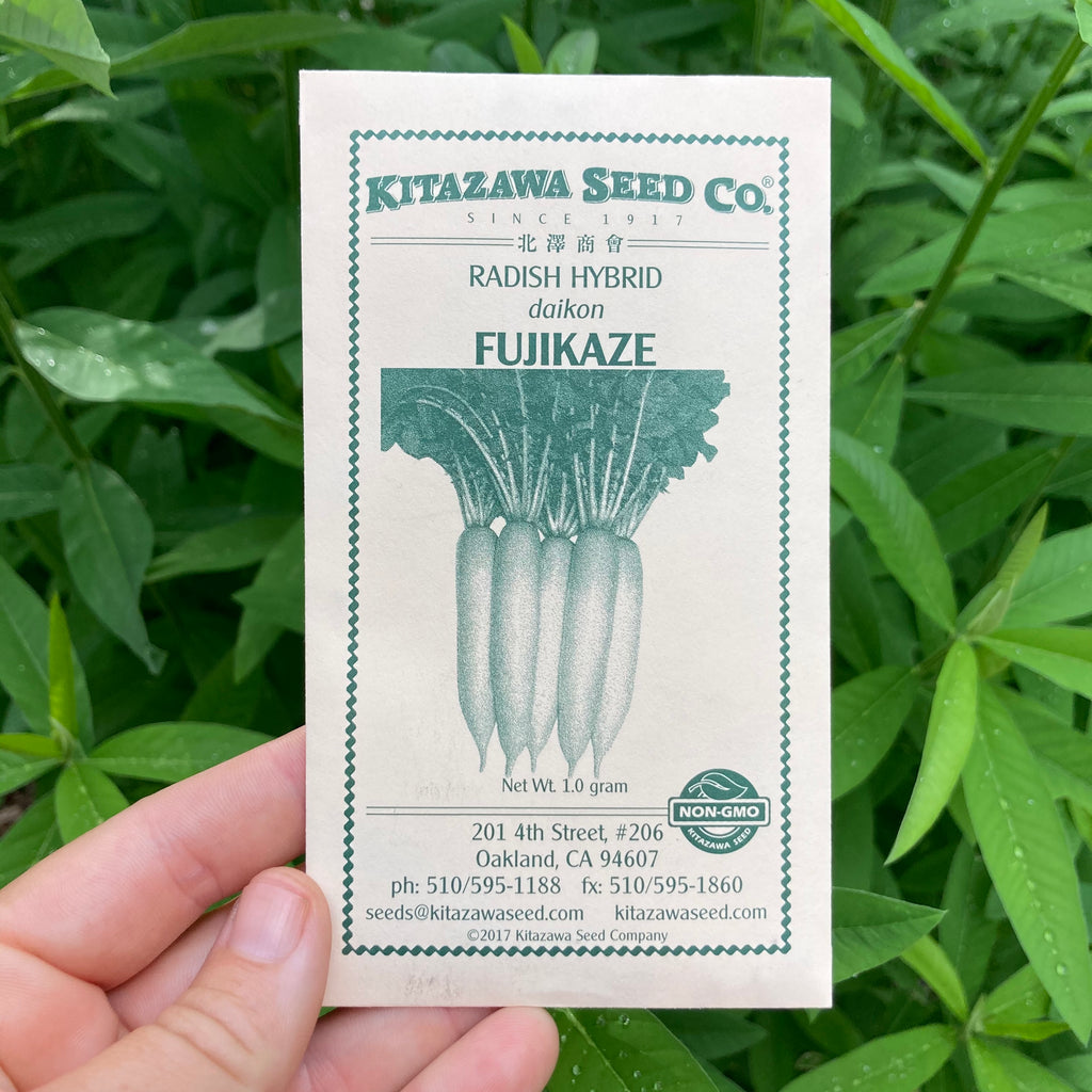 Fujikaze White Daikon Seed Packet