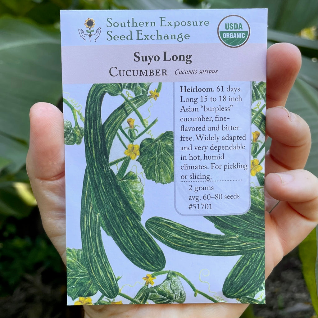 Suyo Long Cucumber Seed Packet