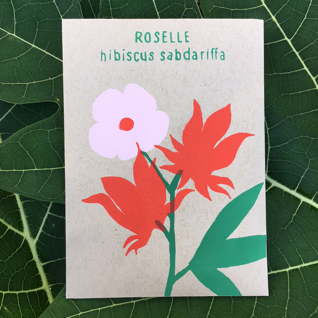 Roselle (hibiscus sabdariffa) 50 seeds