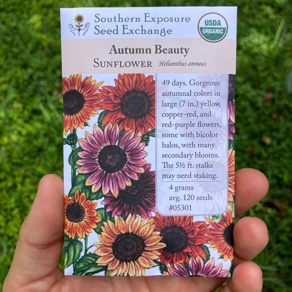 Autumn Beauty Sunflower Seed Packet