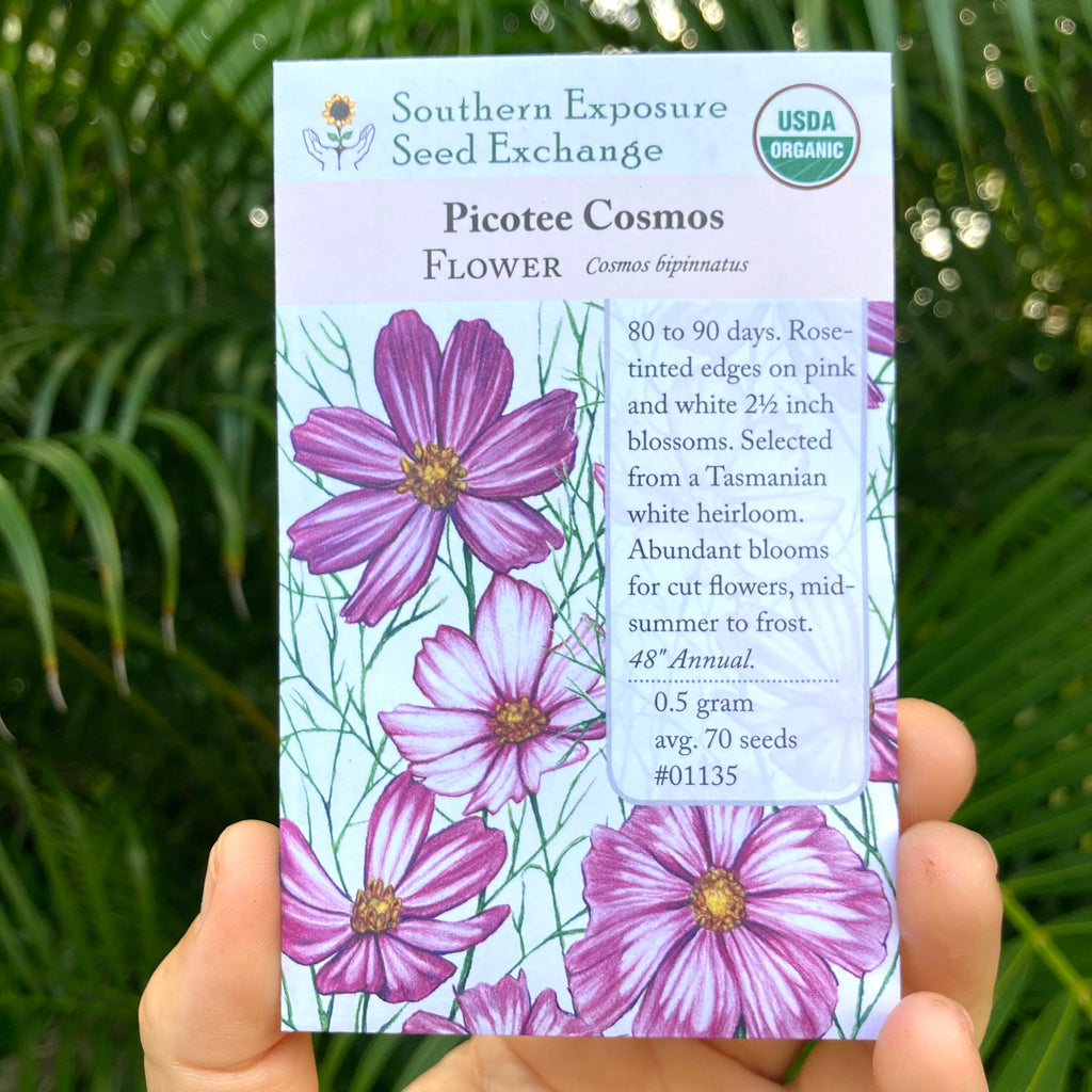 Picotee Cosmos Seed Packet
