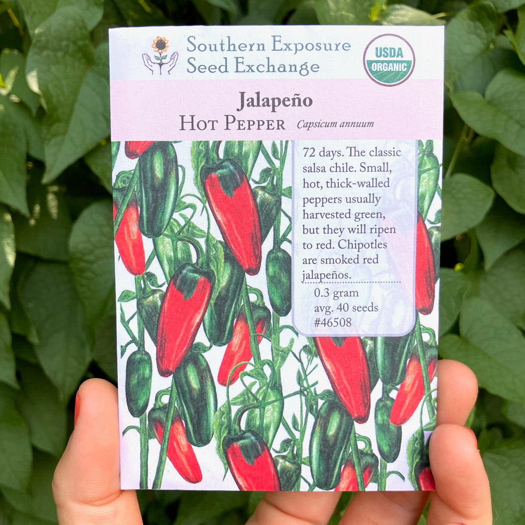 Jalapeño Pepper Seed Packet
