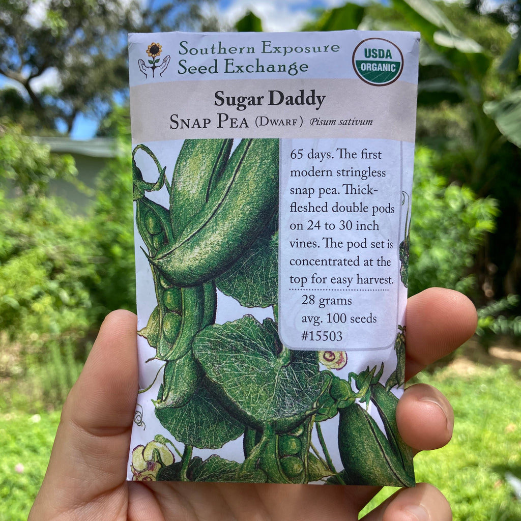 Sugar Daddy Snap Pea Seed Packet
