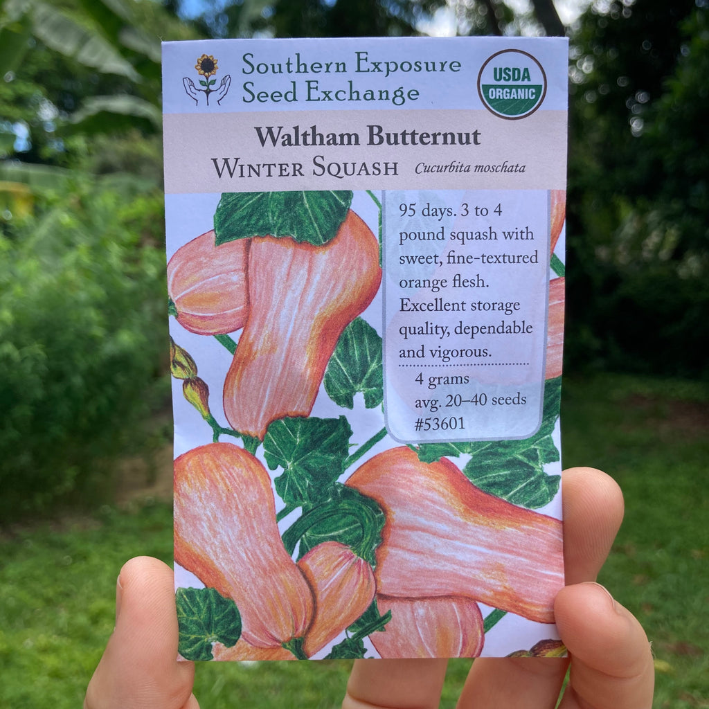 Waltham Butternut Squash Seed Packet