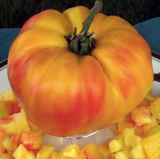 Arkansas Marvel Slicer Tomato