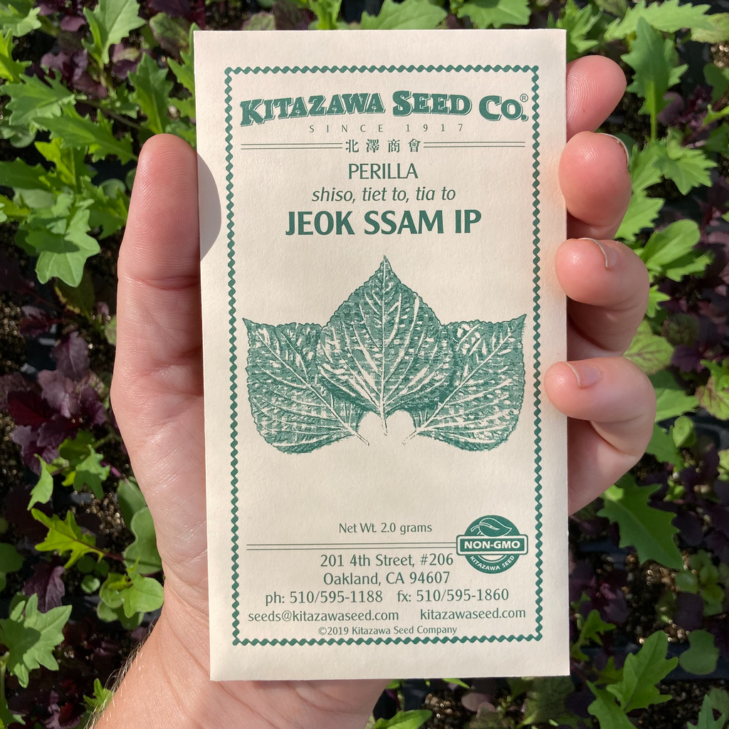 Jeok Ssam Ip Shiso Seed Packet