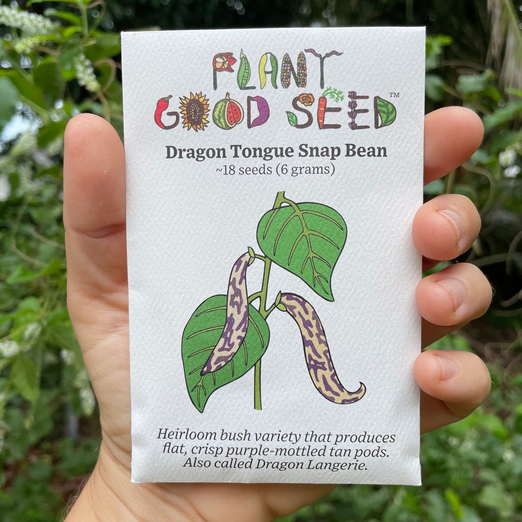 Dragon Tongue Bean Seed Packet