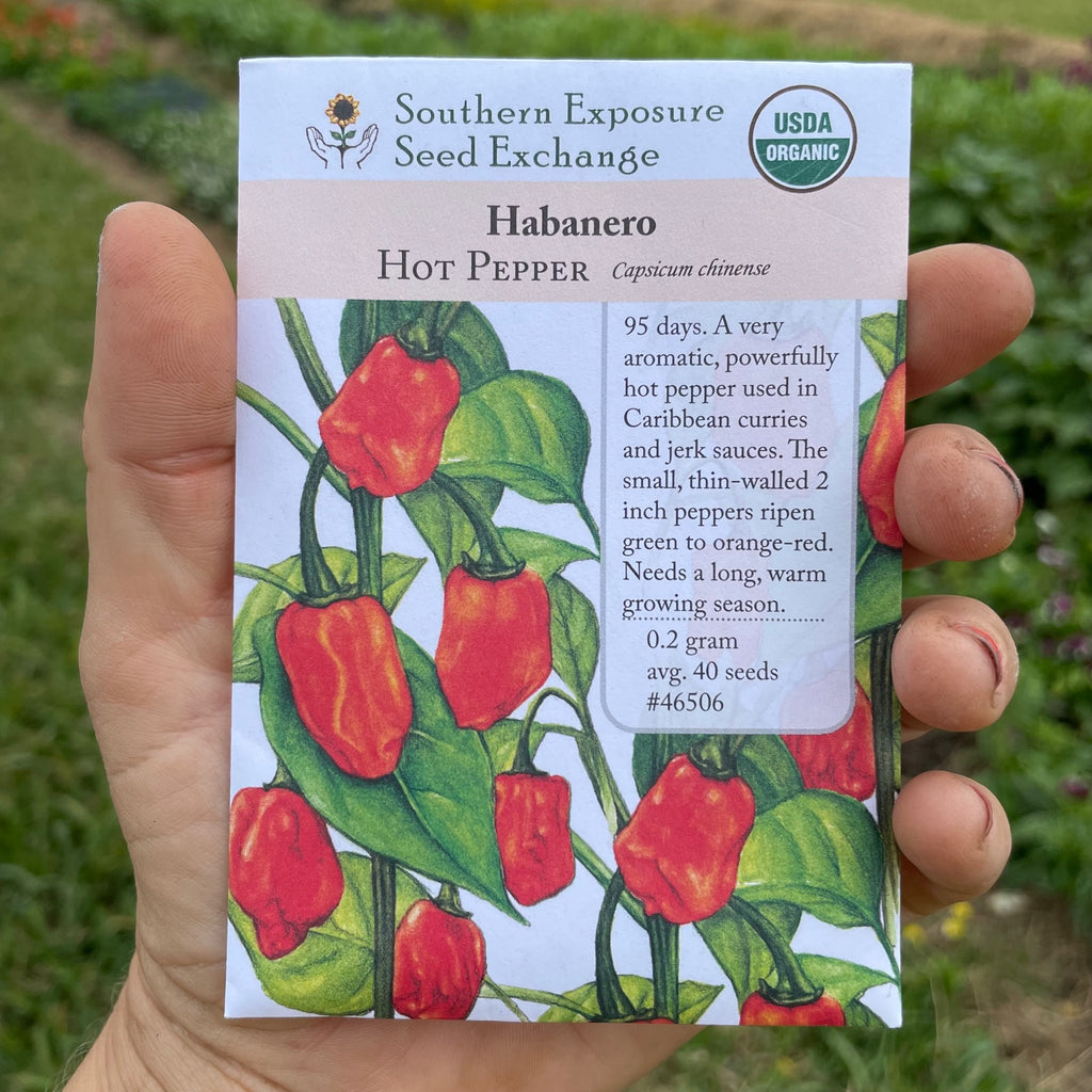 Habanero Pepper Seed Packet