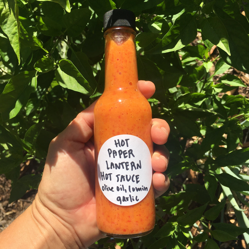 Hot Paper Lantern Pepper