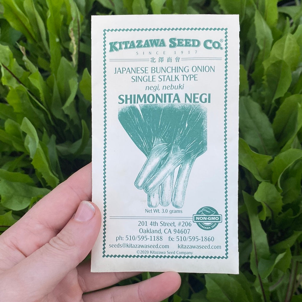 Japanese Bunching Onion Seed Packet