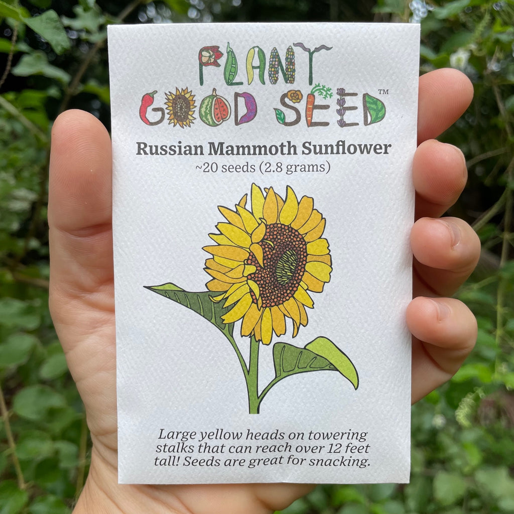 Russian Mammoth Sunflower Seed Packet