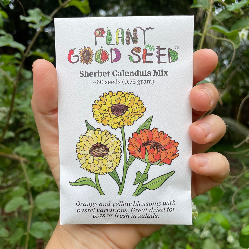 Sherbert Calendula Seed Packet