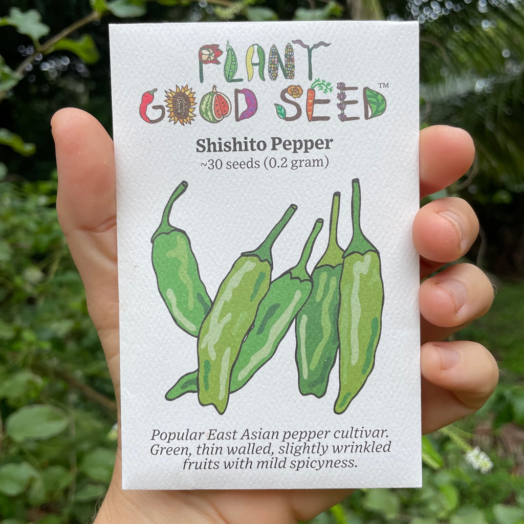 Shishito Pepper Seed Packet
