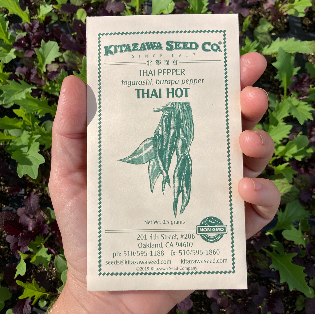 Thai Red Chili Pepper Seed packet